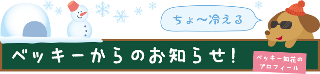 新着情報