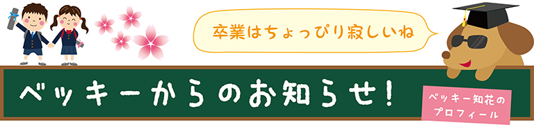 新着情報